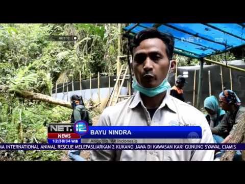 BKSDA Ciamis Lepasliar 2 Kukang Jawa - NET 12