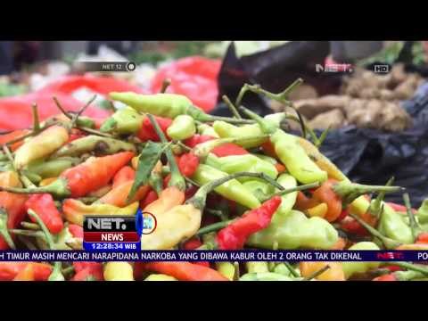 Tingginya Harga Cabai, Petani di Bone Sulawesi Selatan Merugi - NET 12