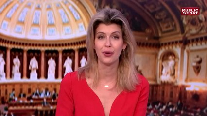 Délit d'entrave numérique à l'IVG - Les matins du Sénat (15/02/2017)