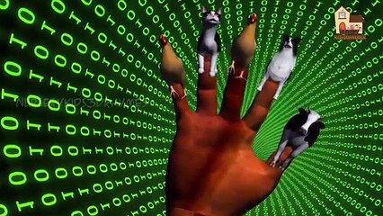 finger family nursery kids english 3d rhymes | Dog Attacks cow