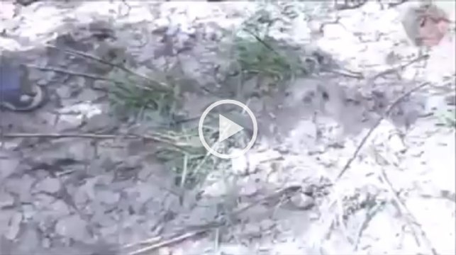 আজব এক মাছ পানি ছাড়াই মাটির ভিতরে বেঁছে থাকে ‘সুবাহানআল্লাহ’ – দেখুন ভিডিওটি, আর শেয়ার করুন সবার সাথে