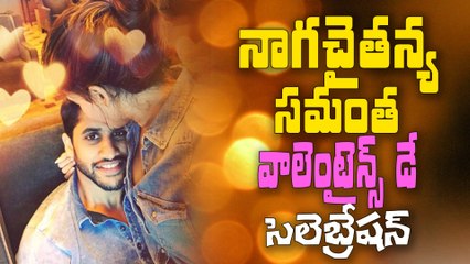 Samantha Naga Chaitanya Velantine`s Day Celebrations