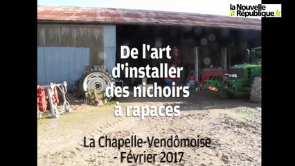 VIDEO. Loir-et-Cher. Héberger des rapaces pour lutter contre les campagnols