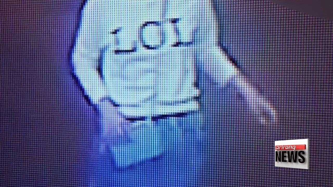 Woman arrested in Kim Jong-nam murder case holding Vietnamese documents