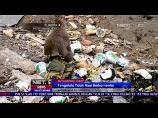 Kawanan Satwa di Pangandaran Terlantar Hingga Makan Sampah - NET 16
