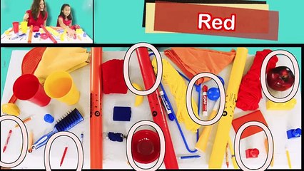 Red is the Color of the Day Childrens Song | Red Colors | Count to 10 | Patty Shukla