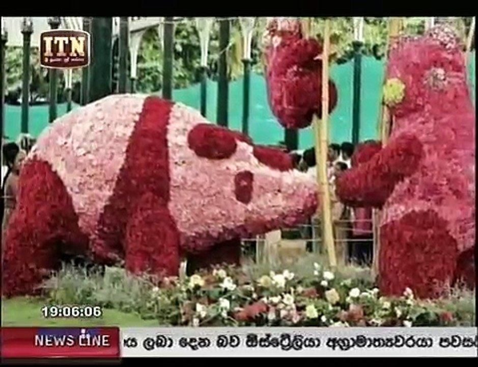 ata pattama