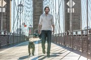 WATCHING NOW John Wick: Chapter 2 2017 Full Movie Streaming Online in HD-1080p Video Quality