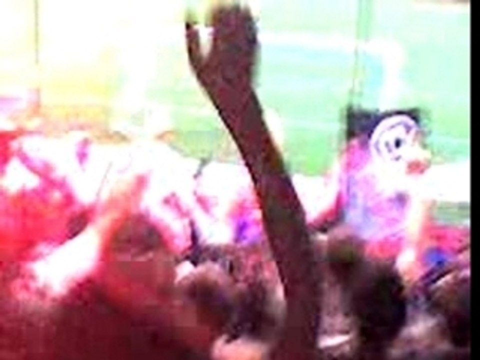 Rennes-Lille Ambiance pour Didot