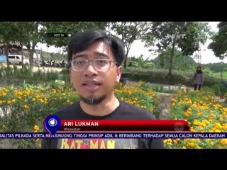 Pesona Kebun Bunga Kenikir - NET 10