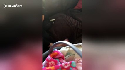 Four-day-old baby feeds off two-year-old sister's cheek