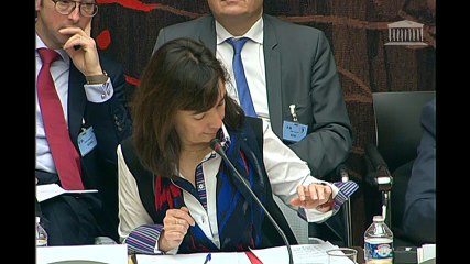 Commission des Affaires économiques - 15.02.2017 - Industrie du médicament