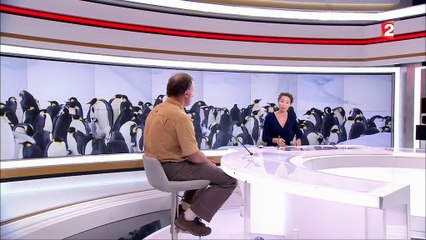 Cinéma : "L'Empereur", un voyage sur le continent blanc à la découverte des manchots