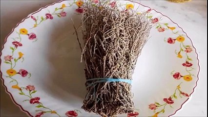 شاهد عشبة المعجزة التي تفتت الشحوم والدهون