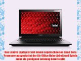 Lenovo (156 Zoll) Notebook (AMD E2-6110 Quad Core 8GB RAM 640GB S-ATA HDD AMD Radeon R2 3D