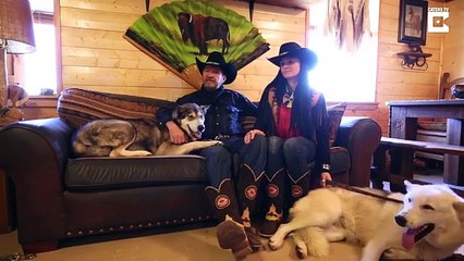 Ce bison vit à l'intérieur de la maison comme un membre de la famille