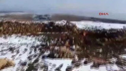Mardin'de PKK'nın Konferans Için Kullandığı Sığınak Bulundu