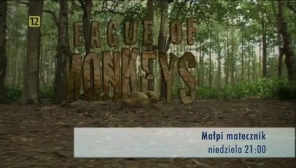 Szóstka - zapowiedzi z 29.01.2013 r.