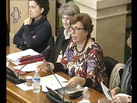 Roma - Audizioni su riforma sistema istruzione (14.02.17)