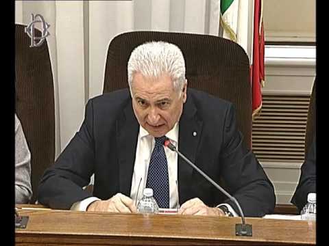 Roma - Audizioni su situazione a Roma (14.02.17)