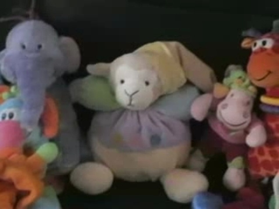 La jungle des Zanimo