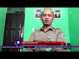 Kondisi Anak Gajah Membaik - NET 10