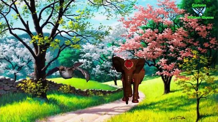 Sparrow Irritatting Baby Elephant Funny Sound Video For Cartoon Children