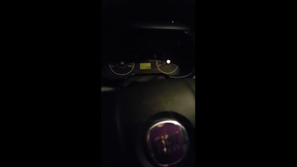 Fiat Grande Punto Knarzen beim Motorstart