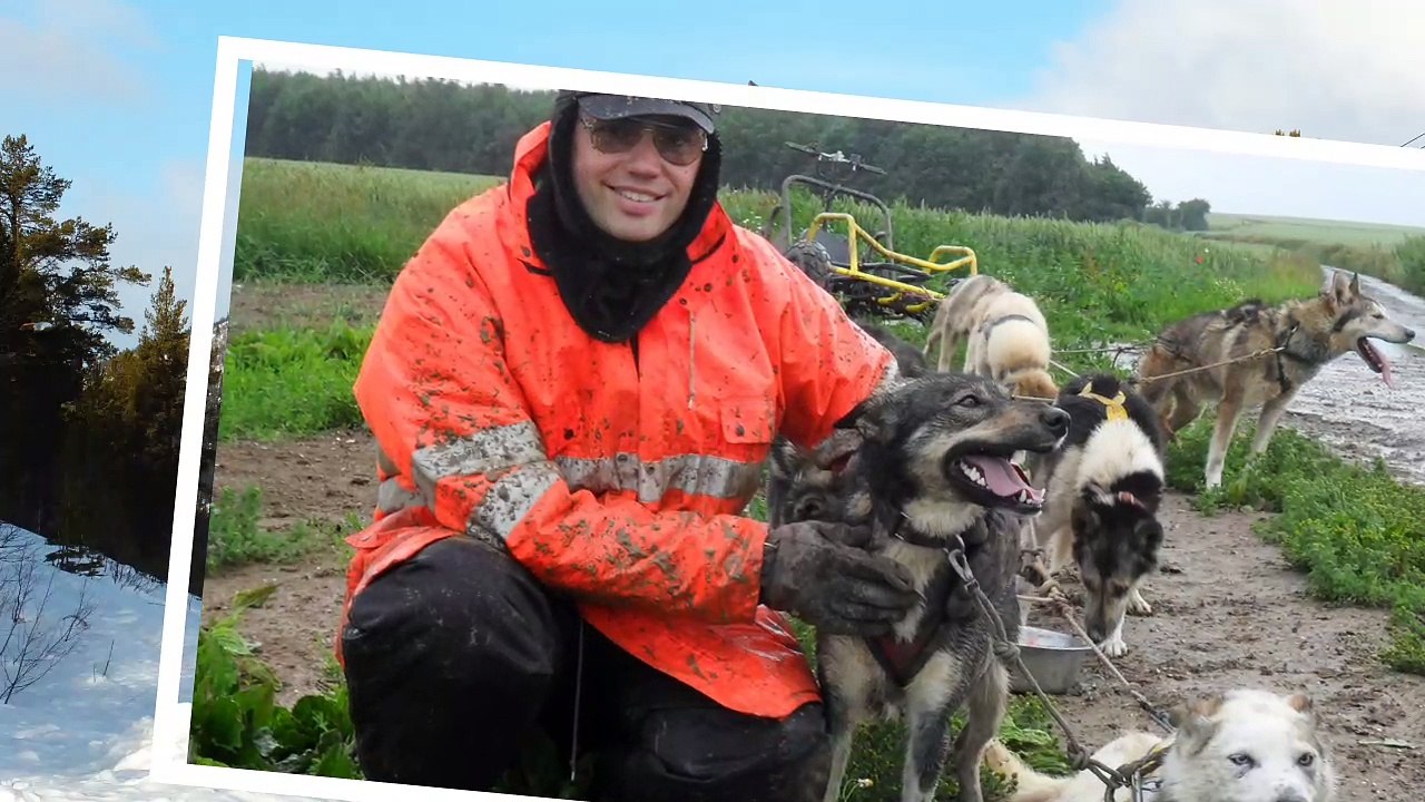 Norrland Husky En Picardie Et Pierrick Metier Le Nouveau Musher