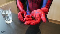 Spiderman vs Venom En la Vida Real | el Veneno de Nacimiento del | de la Película de Superhéroes