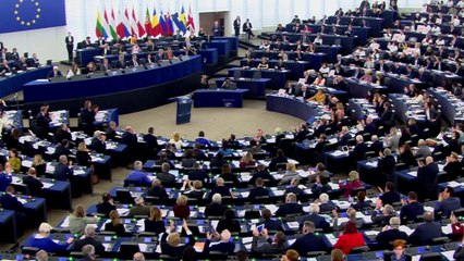 La Eurocámara da luz verde al controvertido CETA