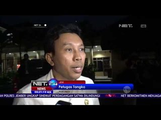 Petugas Amankan 6 Satwa Dilindungi - NET 24