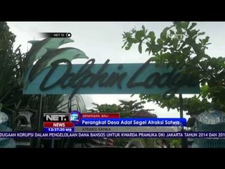 BKSDA Awasi Pemeliharaan Lumba - lumba - NET 12