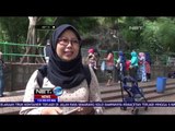 Viral di Medsos, Beruang Banyak Dikunjungi - NET 12