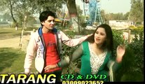 Pashto New HD  Songs 2017 Saudagar Song Hits - Pa Landa Zana Dy Toor Khal Dy