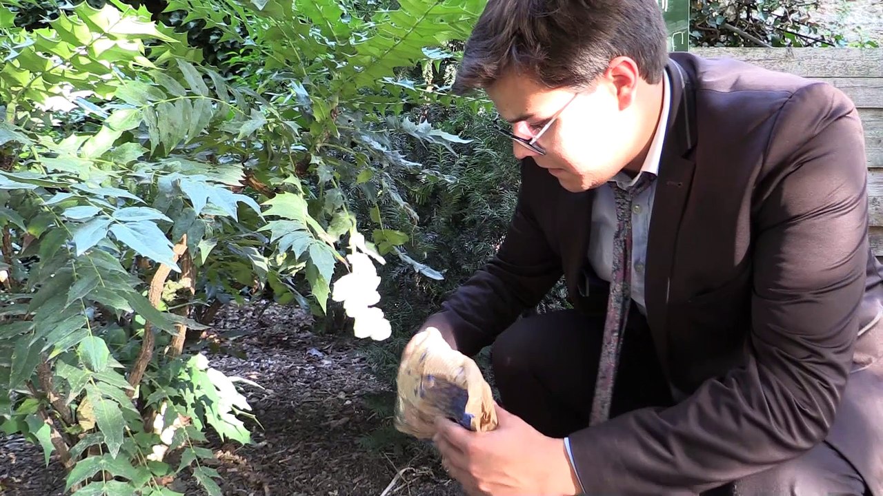 PARCOURS SOLITAIRES 1:4  ACTE III