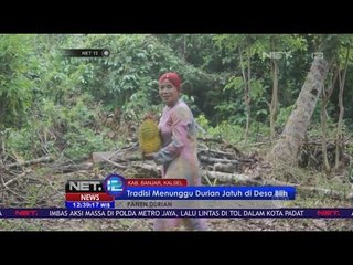 Uniknya Tradisi Menunggu Durian Jatuh di Desa Biih - NET 12