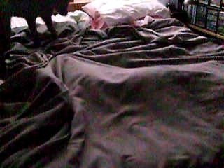 Keily dentro de la cama