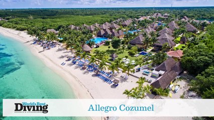 World's Best Diving: Allegro Cozumel