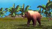 Bear Finger Family 3d Animated Animal Finger Family Songs For Children