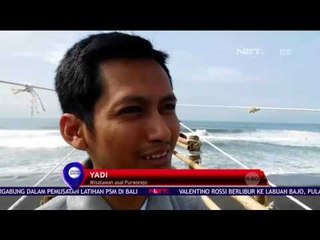 Ragam Ornamen Hiasi Hutan Bakau - NET 10