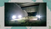 ARTIFICIAL NIGHTTIME LIGHTING REDUCES THE USE OF WILDLIFE CROSSING STRUCTURES BY INSECTIVOROUS BATS IN SOUTHEAST AUSTRAL