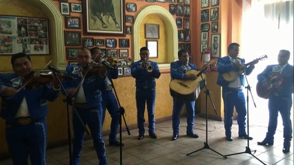 Tel. 24879953 Contratar Mariachis en Tlalpan