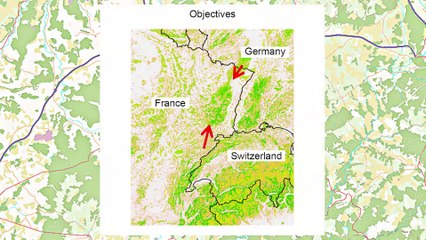 RESTORING A VIABLE POPULATION OF LYNX IN THE FRENCH VOSGES MOUNTAINS: INSIGHTS FROM A SPATIALLY EXPLICIT INDIVIDUALBASED