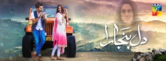 Dil Banjaara Episode 18 HUM TV HD Promo 10 February 2017