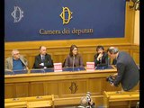 Roma - Conferenza stampa di Nicola Fratoianni (15.02.17)