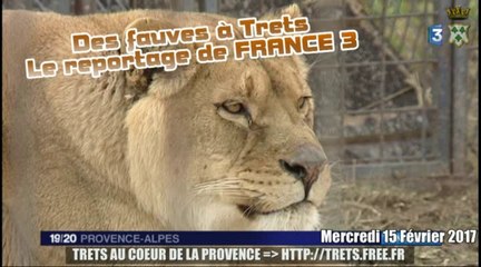Des Fauves à Trets, la polémique REPORTAGEf3 15fev2017