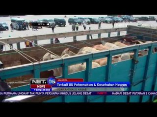 Terkait UU Peternakan & Kesehatan Hewan - NET 16