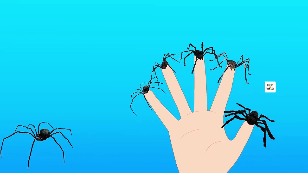 scary spiders finger family | nursery rhymes | scary videos | kids songs