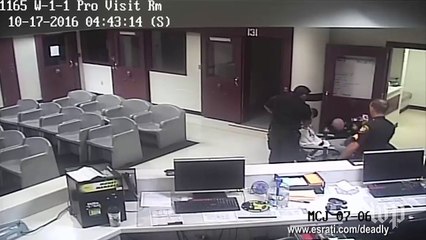 Officers pepper spray detainee in restraints